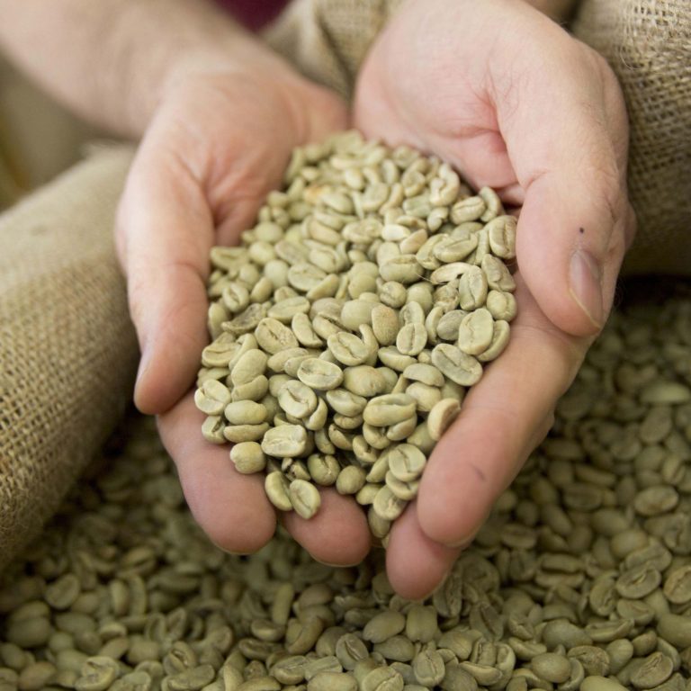 infophoto_2014-04-26_143227407_high_26042013_71444659 copia